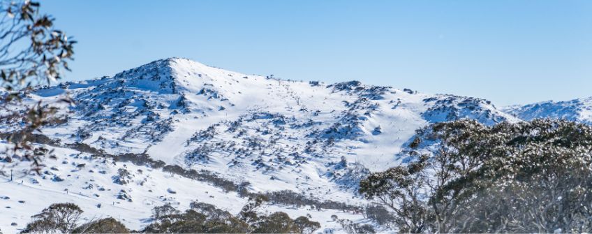 Views of Blue Cow in Perisher